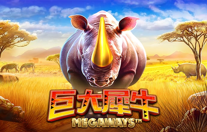 pp电子试玩 网页版